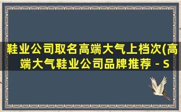 鞋业公司取名高端大气上档次(高端大气鞋业公司品牌推荐 - SEO优化)